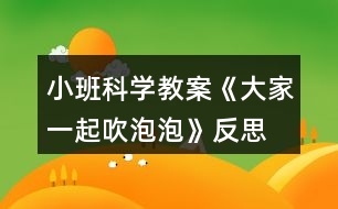 小班科學(xué)教案《大家一起吹泡泡》反思