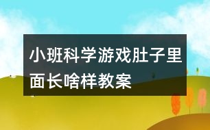 小班科學(xué)游戲肚子里面長(zhǎng)啥樣教案