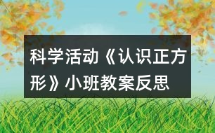 科學活動《認識正方形》小班教案反思