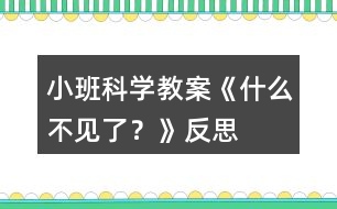 小班科學(xué)教案《什么不見了？》反思