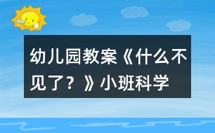 幼兒園教案《什么不見了？》小班科學(xué)