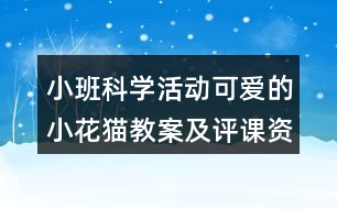 小班科學活動可愛的小花貓教案及評課資料