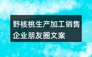 野核桃生產(chǎn)、加工、銷售企業(yè)朋友圈文案32句