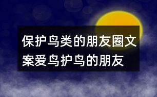 保護(hù)鳥(niǎo)類的朋友圈文案、愛(ài)鳥(niǎo)護(hù)鳥(niǎo)的朋友圈文案36句