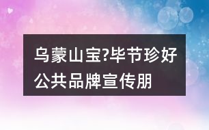 “烏蒙山寶?畢節(jié)珍好”公共品牌宣傳朋友圈文案30句