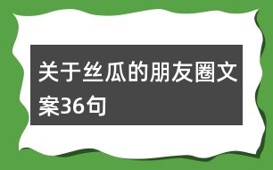 關于絲瓜的朋友圈文案36句