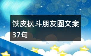 鐵皮楓斗朋友圈文案37句