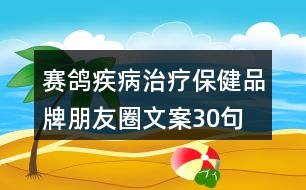 賽鴿疾病治療保健品牌朋友圈文案30句