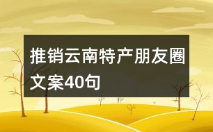 推銷云南特產朋友圈文案40句