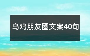 烏雞朋友圈文案40句