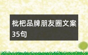 枇杷品牌朋友圈文案35句