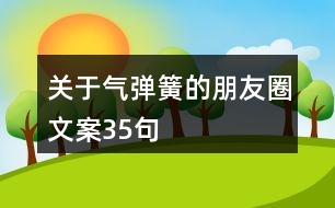 關(guān)于氣彈簧的朋友圈文案35句