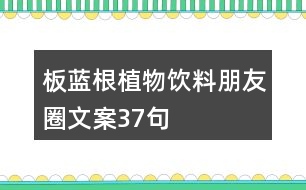 板藍根植物飲料朋友圈文案37句