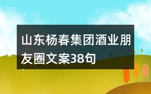 山東楊春集團(tuán)酒業(yè)朋友圈文案38句