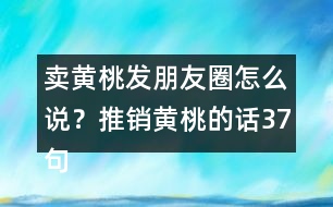 賣黃桃發(fā)朋友圈怎么說？推銷黃桃的話37句