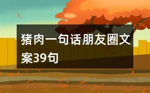 豬肉一句話(huà)朋友圈文案39句