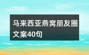 馬來西亞燕窩朋友圈文案40句