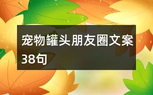 寵物罐頭朋友圈文案38句