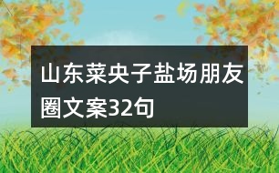 山東菜央子鹽場朋友圈文案32句