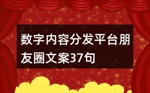 數(shù)字內容分發(fā)平臺朋友圈文案37句