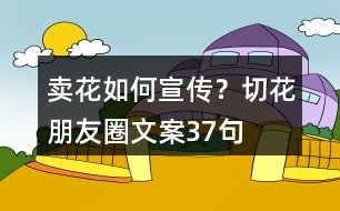 賣花如何宣傳？切花朋友圈文案37句