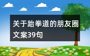 關于跆拳道的朋友圈文案39句