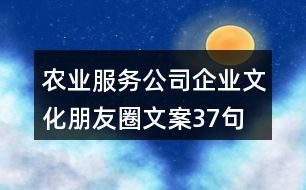 農(nóng)業(yè)服務(wù)公司企業(yè)文化朋友圈文案37句