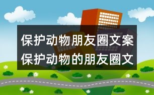 保護動物朋友圈文案：保護動物的朋友圈文案32句