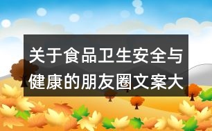 關于食品衛(wèi)生安全與健康的朋友圈文案大全33句