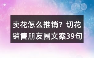 賣花怎么推銷？切花銷售朋友圈文案39句