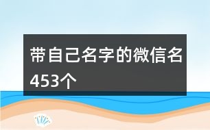 帶自己名字的微信名453個