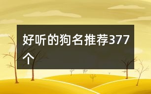 好聽的狗名推薦377個