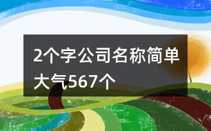 2個(gè)字公司名稱簡(jiǎn)單大氣567個(gè)