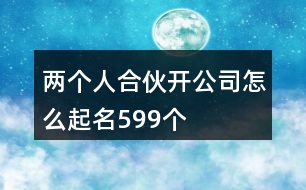 兩個(gè)人合伙開公司怎么起名599個(gè)