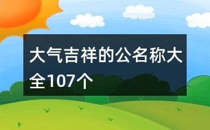 大氣吉祥的公名稱大全107個(gè)