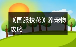 《國(guó)服?；ā佛B(yǎng)寵物攻略