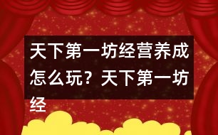 天下第一坊經(jīng)營(yíng)養(yǎng)成怎么玩？天下第一坊經(jīng)營(yíng)養(yǎng)成攻略