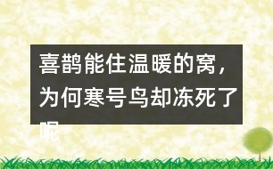 喜鵲能住溫暖的窩，為何寒號鳥卻凍死了呢？