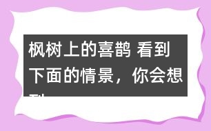 楓樹上的喜鵲 看到下面的情景，你會想到什么?試著寫下來。