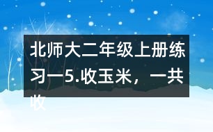 北師大二年級上冊練習(xí)一5.收玉米，一共收了多少根玉米。