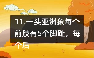 11.一頭亞洲象每個前肢有5個腳趾，每個后肢有4個腳趾，這頭亞洲象一共有多少個腳趾?