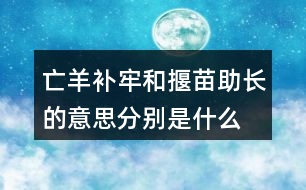 亡羊補(bǔ)牢和揠苗助長(zhǎng)的意思分別是什么