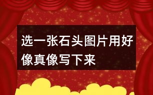 選一張石頭圖片用好像真像寫下來