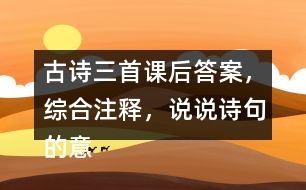 古詩三首課后答案，綜合注釋，說說詩句的意思？