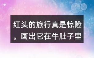 紅頭的旅行真是驚險(xiǎn)。畫(huà)出它在牛肚子里旅行的路線(xiàn)，再把這個(gè)故事講給別人聽(tīng)。