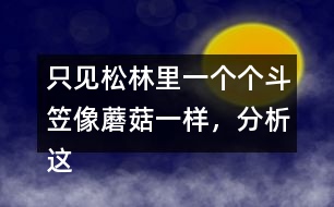 只見(jiàn)松林里一個(gè)個(gè)斗笠像蘑菇一樣，分析這句話是什么意思