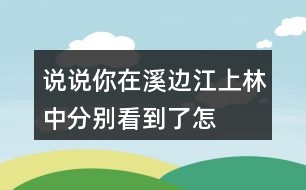 說說你在溪邊、江上、林中分別看到了怎樣的畫面,任選其中一個(gè)寫下來