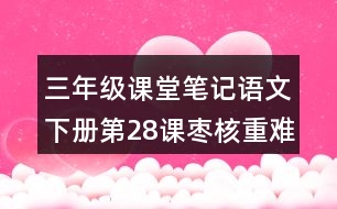 三年級課堂筆記：語文下冊第28課棗核重難點