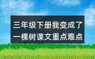 三年級(jí)下冊(cè)我變成了一棵樹課文重點(diǎn)難點(diǎn)隨堂筆記