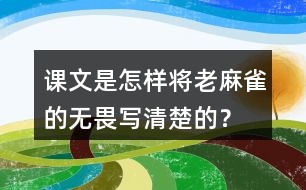課文是怎樣將老麻雀的無(wú)畏寫(xiě)清楚的？